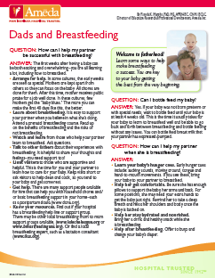 Dads and Breastfeeding PDF Preview Graphic
