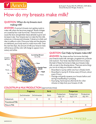 How Do My Breasts Make Milk? Preview Graphic
