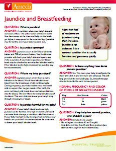 Common Breastfeeding Problems Jaundice PDF Preview Graphic